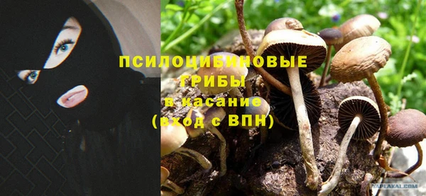 МДПВ Заволжье
