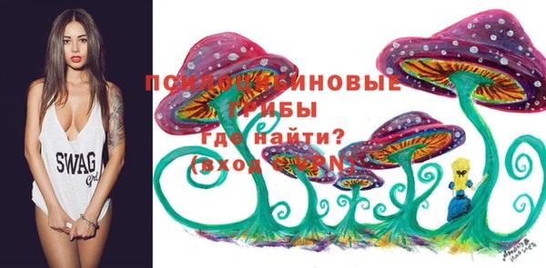 прущие крисы Заволжск