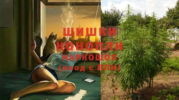 кокаин Заводоуковск